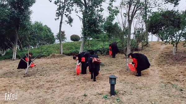 我們的節(jié)日：三八婦女節(jié)，賢母園開展活動(dòng)